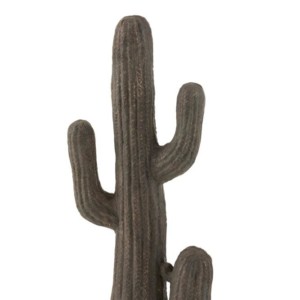Cactus Magnesie