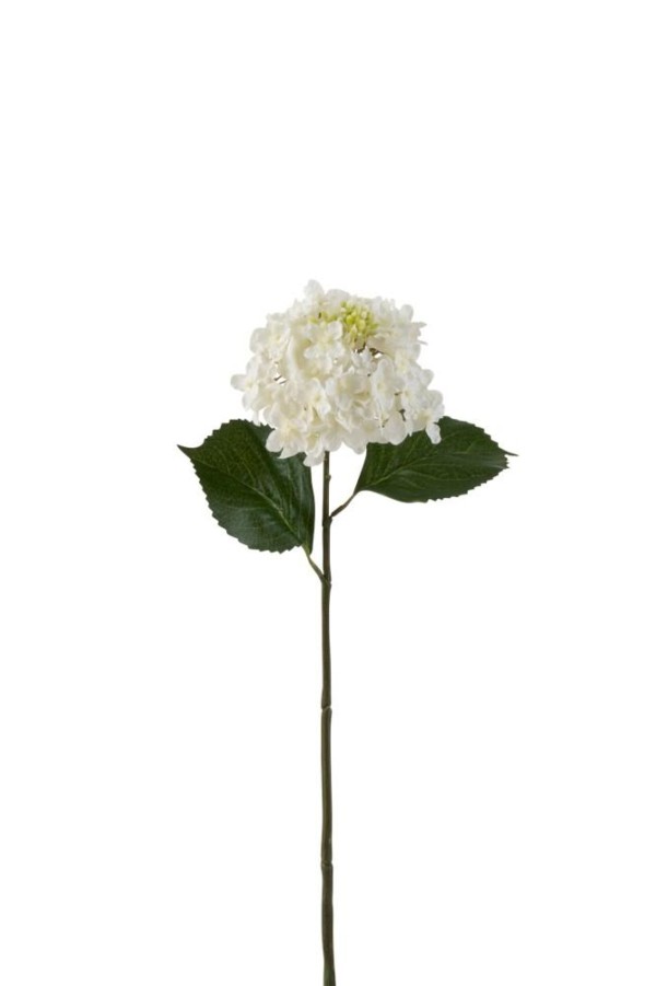 Fleur Hortensia blanc