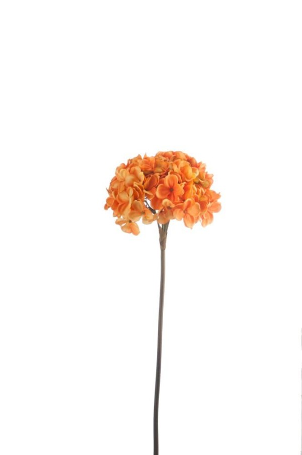 Fleur Hydrangea orange