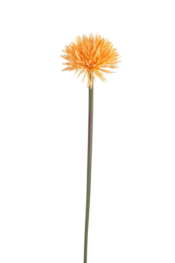 Fleur Daisy Orange