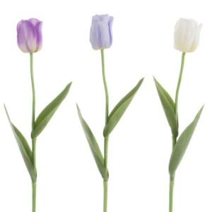 Fleur Tulipe