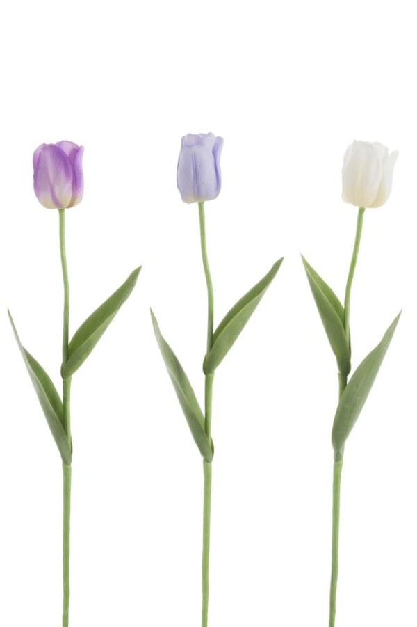 Fleur Tulipe