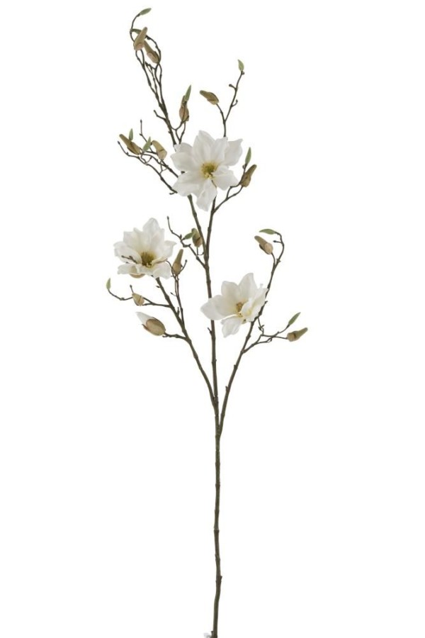 Fleur Magnolia creme