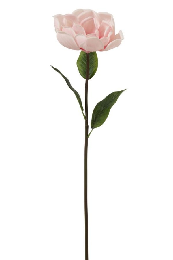 Fleur DE KAPOK Rose