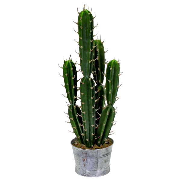 Cactus pot en metal