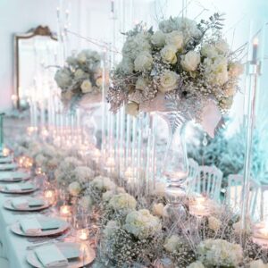 WINTER PARTY CORALIE POROVECHIO BY LNC DESIGN (1)